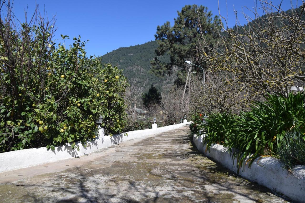 Casa Rural Juli Санта-Крус-де-Тенерифе Экстерьер фото